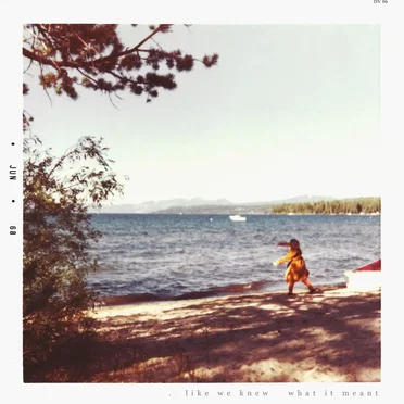 Like We Knew What It Meant by Danvers - album cover