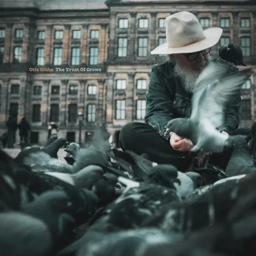 The Trust Of Crows