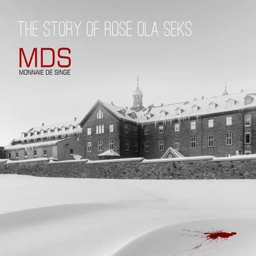 The Story of Rose Ola Seks by Monnaie de Singe - album cover