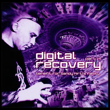 Digital Recovery, Part 14 by Various Artists - album cover