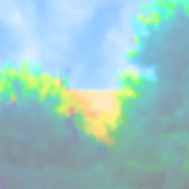 0293