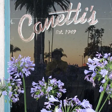 Organs & Mike Watt EP