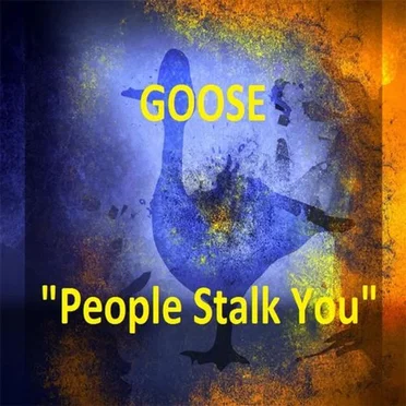 People Stalk You