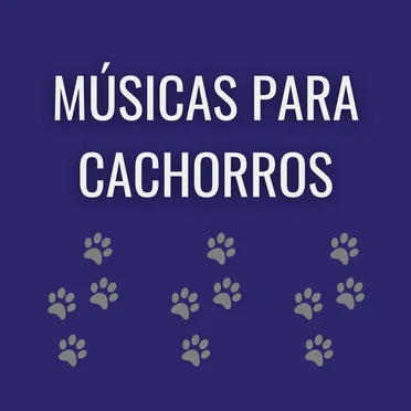 Música para Cães by Músicas para Cachorros - album cover