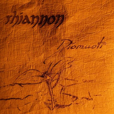 Diomuoti by rhiannon - album cover