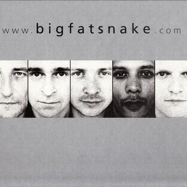 www.bigfatsnake.com
