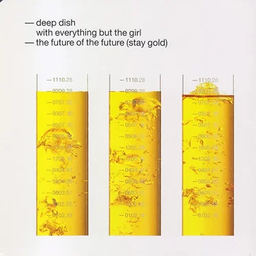 The Future of the Future (Stay Gold)