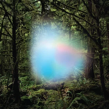 Ghosts of the Forest by Ghosts of The Forest - album cover