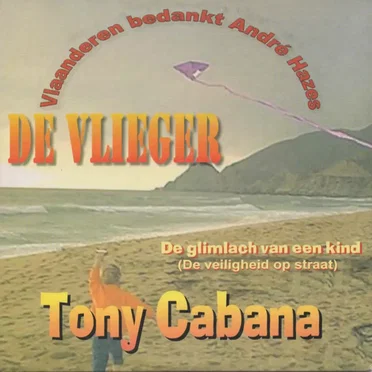De vlieger