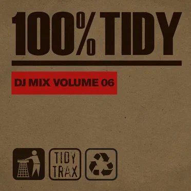 100% Tidy, Vol. 6 by Various Artists - album cover
