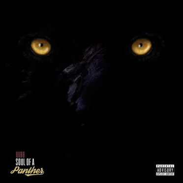 Soul of a Panther by DUBB - album cover