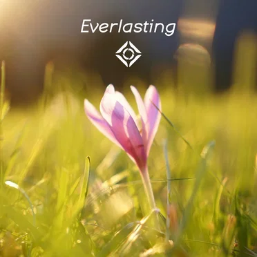 Everlasting
