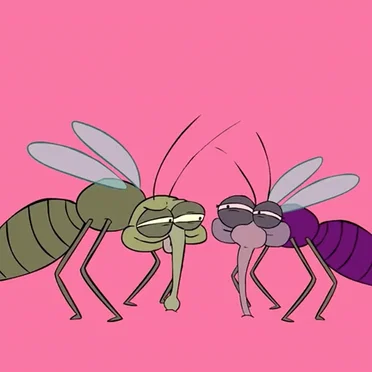 Bed Bugs
