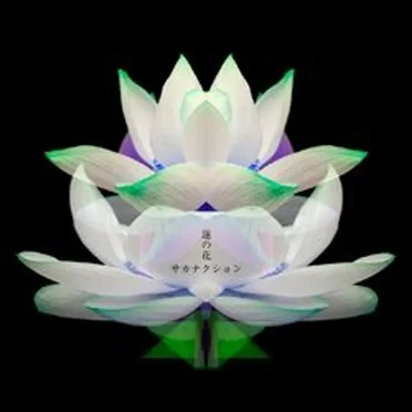 蓮の花 -movie version-