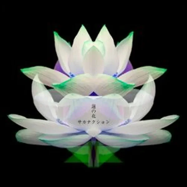 蓮の花 -movie version-