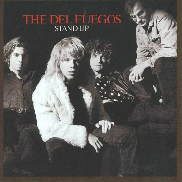 Stand Up by The Del Fuegos - album cover