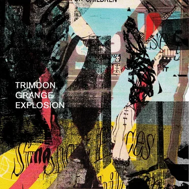 Trimdon Grange Explosion by Trimdon Grange Explosion - album cover