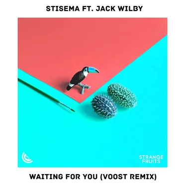 Waiting for You (Voost remix)