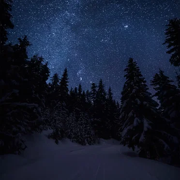 Home Is in the Rearview Mirror