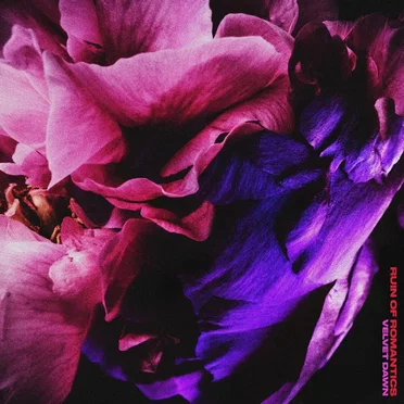 Bleeding in the Fields by Ruin of Romantics - album cover