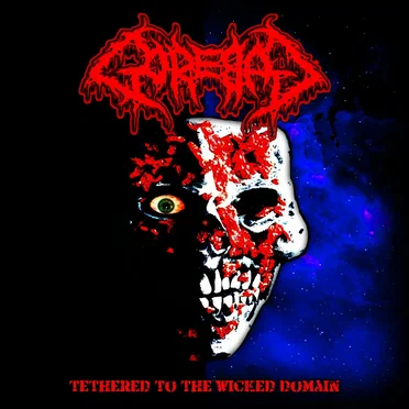 Regurgitated Eyeball Soup by Gorebag - album cover