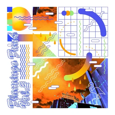 Flamingo Funk vol.2 by Various Artists - album cover
