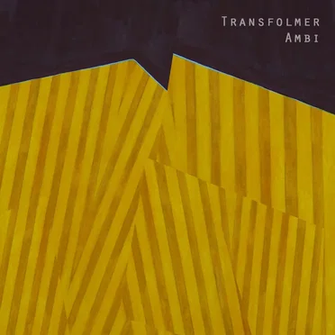 Transfolmer