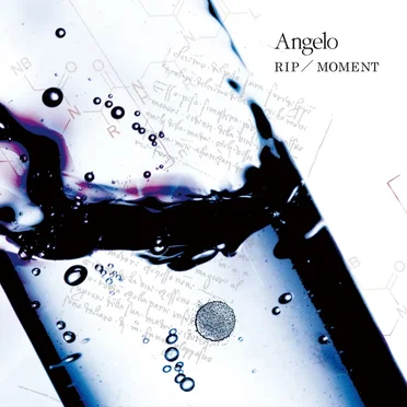 RIP/MOMENT