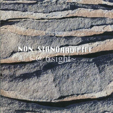 NON STANDARD FILE ~@6Sight~ by Various Artists - album cover