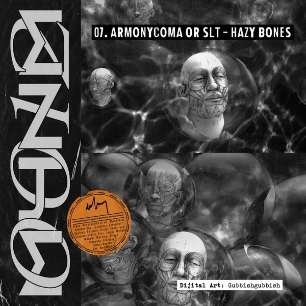 Hazy Bones