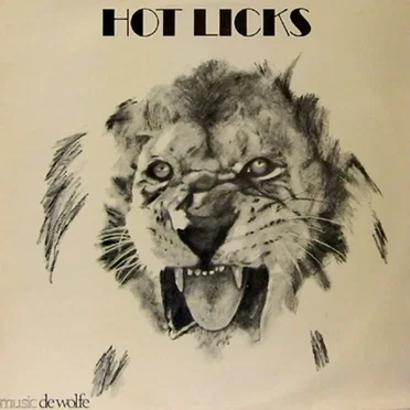 Hot Licks by The Electric Banana - album cover