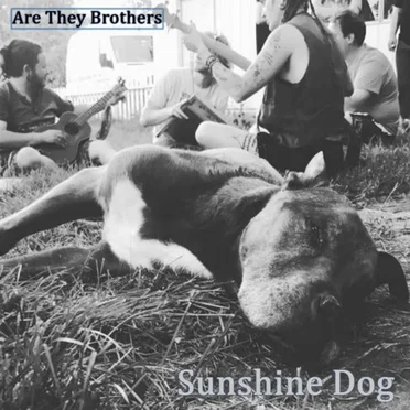 Sunshine Dog by Are They Brothers - album cover