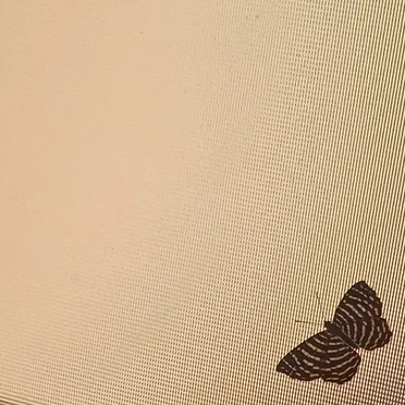 butterfly~tape by Creativezito - album cover