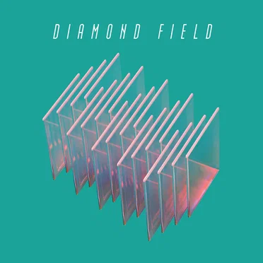 Diamond Field by Diamond Field - album cover
