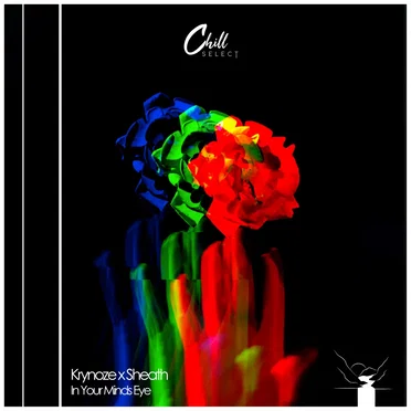 In Your Mind’s Eye