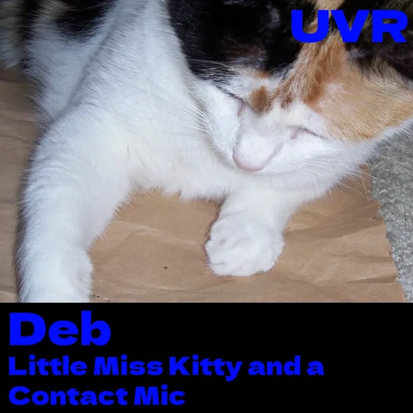 Little Miss Kitty and a Contact Mic