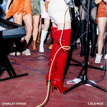 Charley Horse