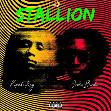 Stallion by Kivumbi King - album cover
