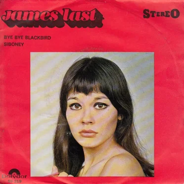 Bye Bye Blackbird / Siboney