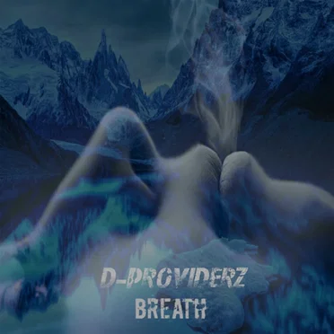 D‐Providerz