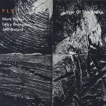 Fly