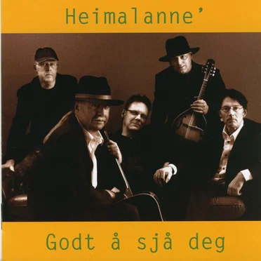 Godt å sjå deg