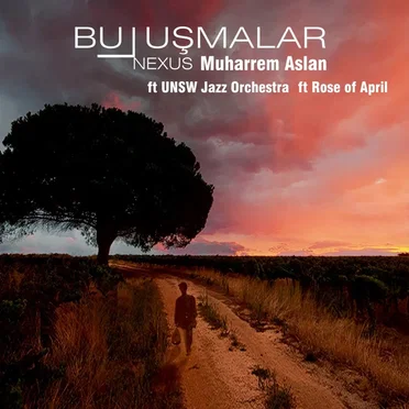 Buluşmalar/Nexus by Muharrem Aslan - album cover
