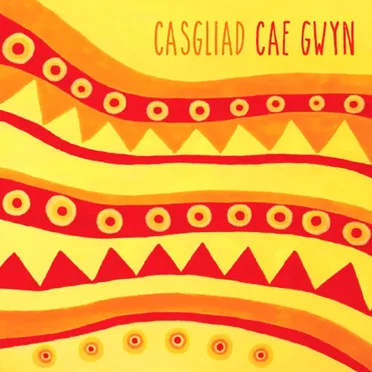 Casgliad Cae Gwyn by Various Artists - album cover