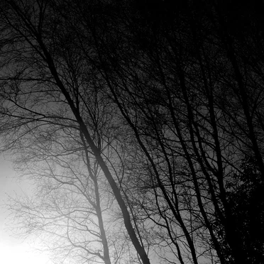 Melancholia by Foil - album cover