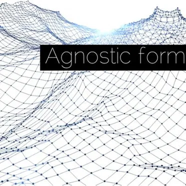 Agnostic Form by Various Artists - album cover