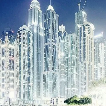 SHINJUKU JUNGLE