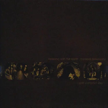 Sleeping With the Earth / Combat Astronomy