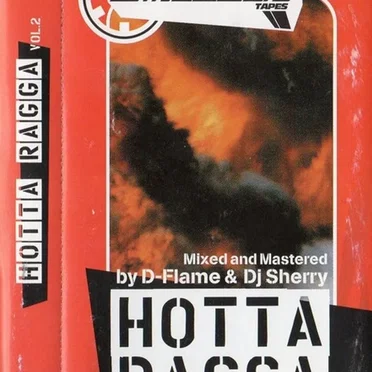 Eimsbush Tapes Vol. 8 - Hotta Ragga Vol. 2 by Various Artists - album cover