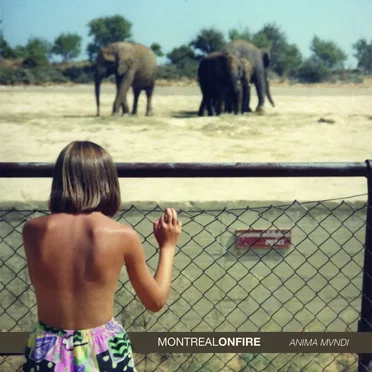 Anima Mvndi by Montreal on Fire - album cover